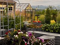Walnut Hills Lavender and Herb Farm