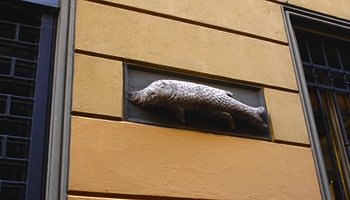 Place image